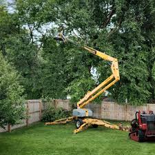 Best Lawn Grading and Leveling  in Coon Rapids, IA